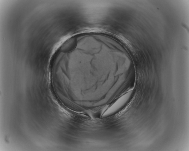 X0000096661414200803041151