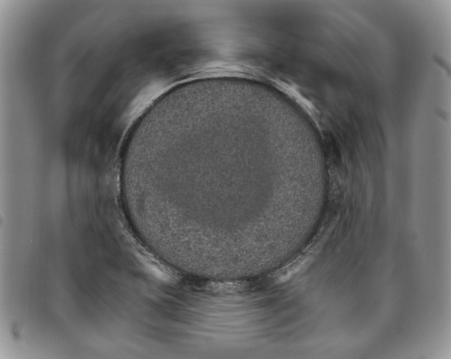 X0000096661415200803041151