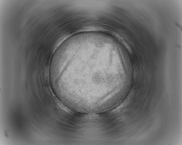 X0000096661417200803041151