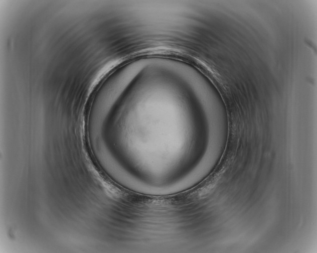 X0000096661418200803041151