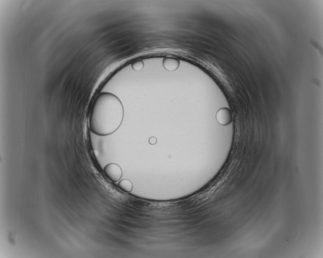 X0000096661420200803041151