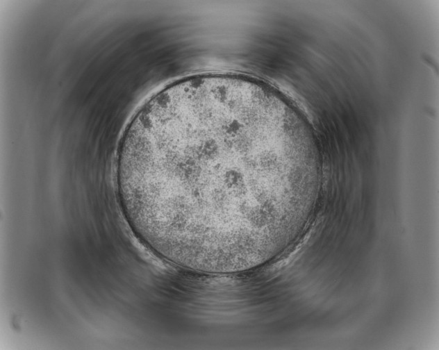 X0000096661421200803041151