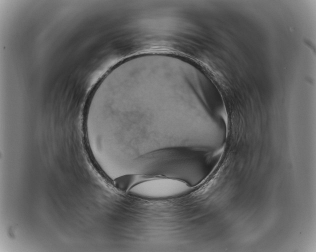 X0000096661422200803041151