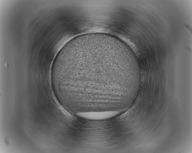 X0000096661423200803041151