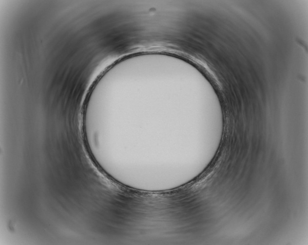 X0000096661424200803041151