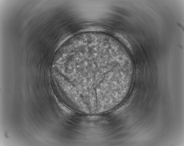 X0000096661425200803041151