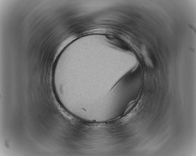 X0000096661426200803041151