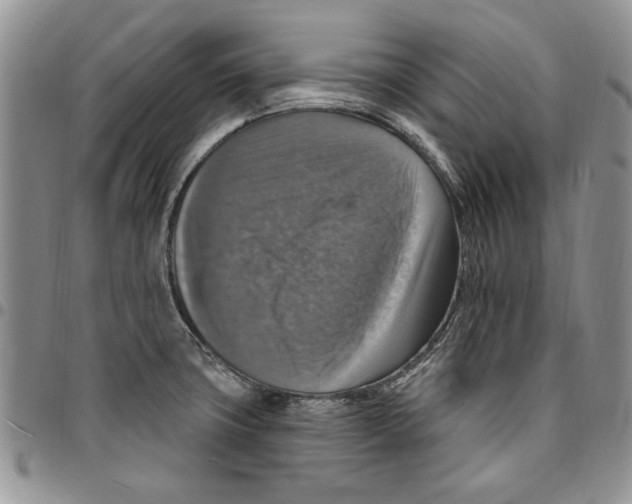 X0000096661427200803041151