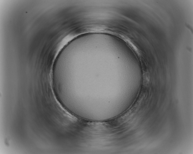 X0000096661432200803041151