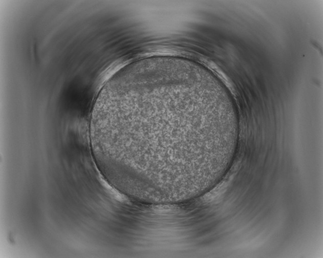 X0000096661433200803041151