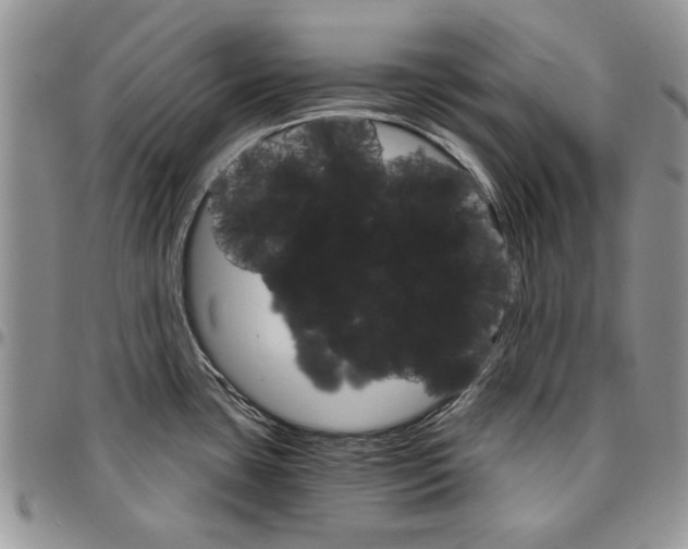 X0000096661435200803041151