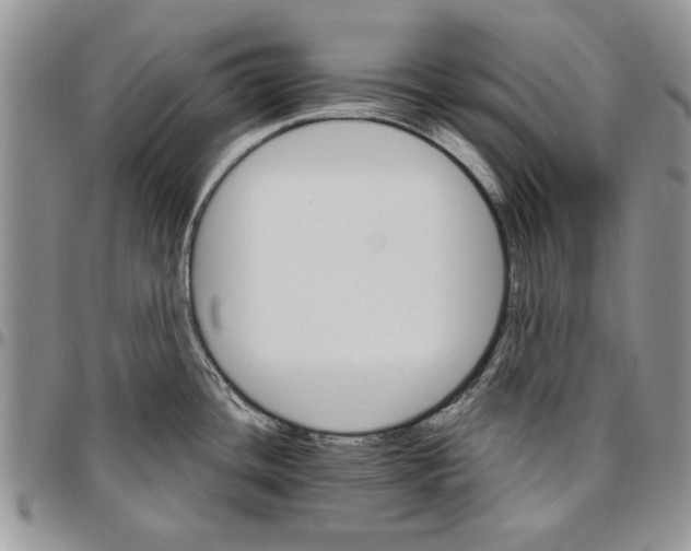 X0000096661436200803041151