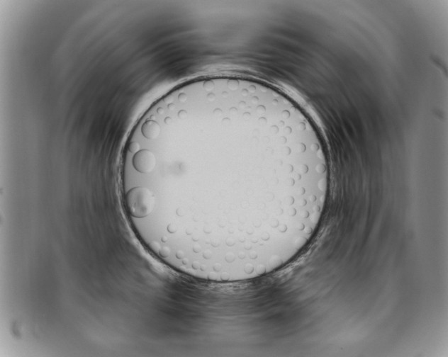 X0000096661437200803041151