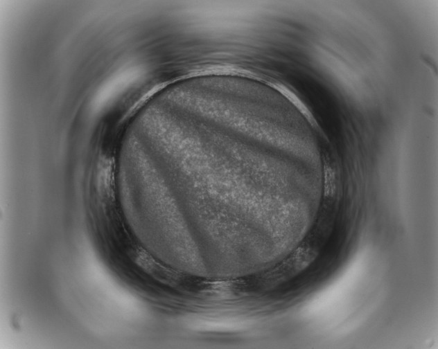 X0000096661438200803041152