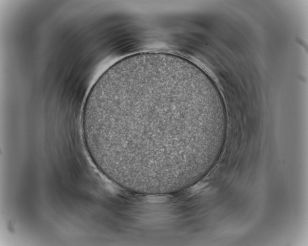 X0000096661440200803041152