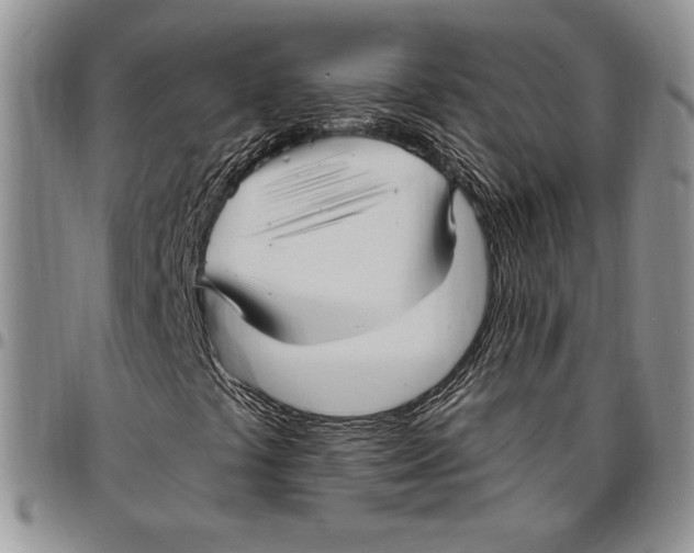 X0000096661441200803041151