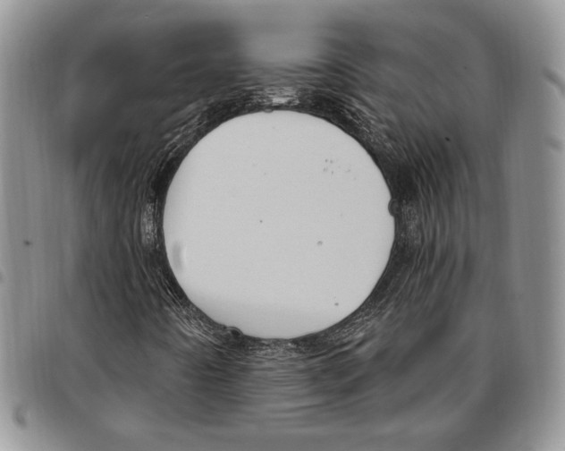 X0000096661442200803041151