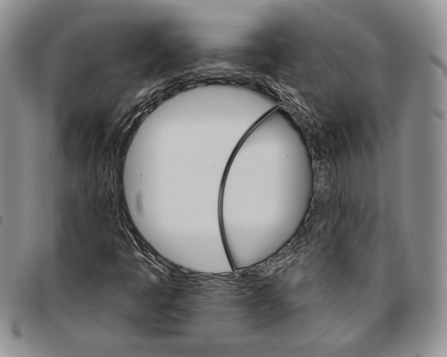 X0000096661445200803041151