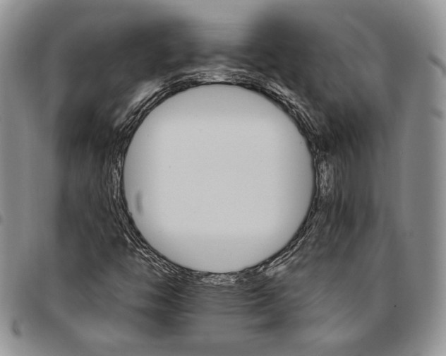 X0000096661446200803041151