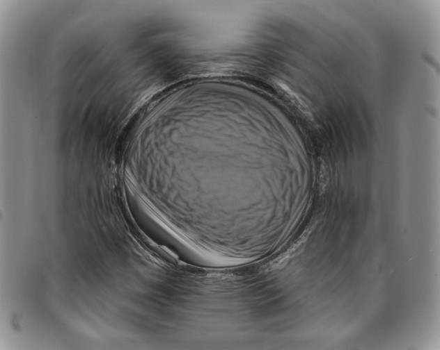 X0000096661449200803041151