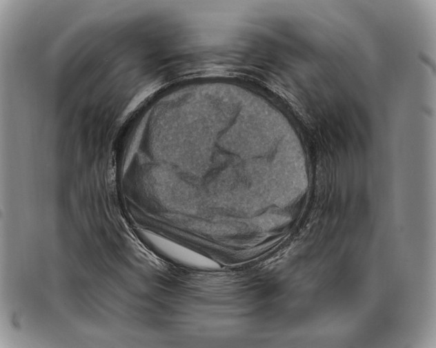 X0000096661450200803041151