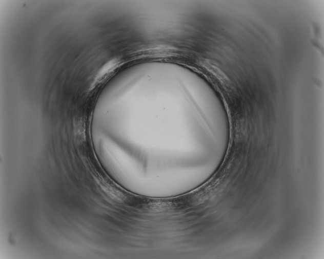 X0000096661451200803041151