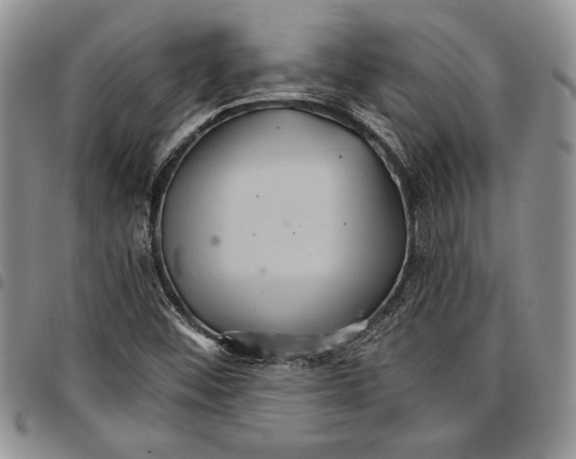 X0000096661452200803041151