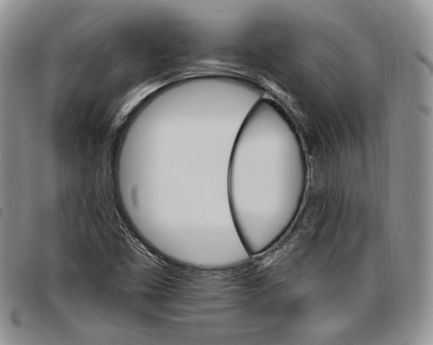 X0000096661453200803041151