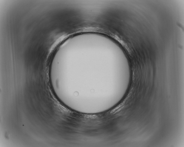 X0000096661454200803041151