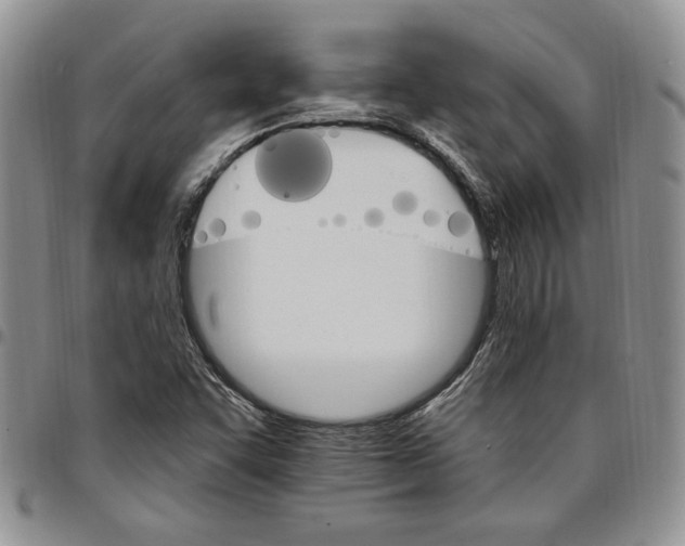 X0000096661455200803041151