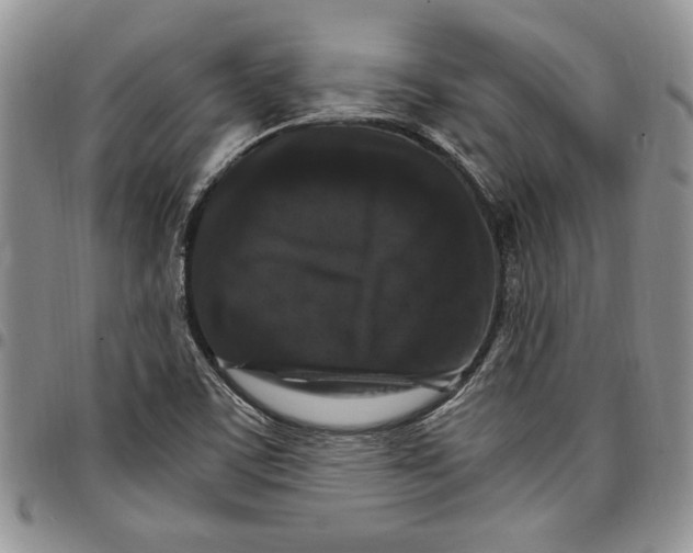 X0000096661459200803041151