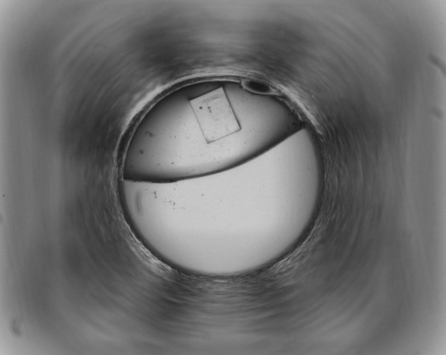 X0000096661460200803041151