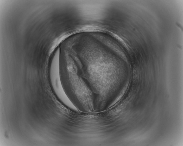 X0000096661461200803041151