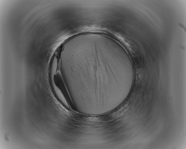 X0000096661463200803041151