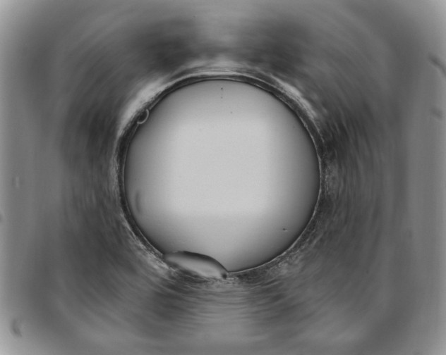 X0000096661464200803041151