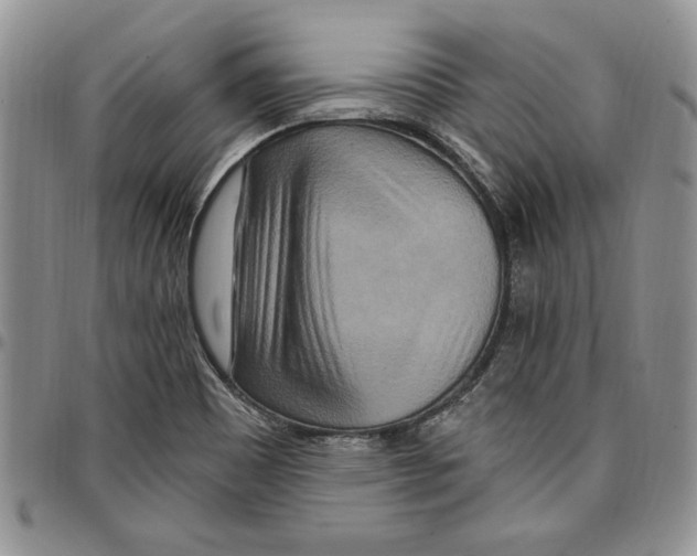 X0000096661465200803041151