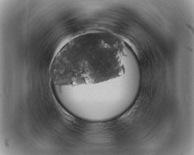 X0000096661467200803041151