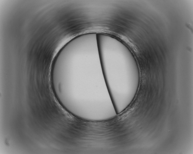 X0000096661469200803041151