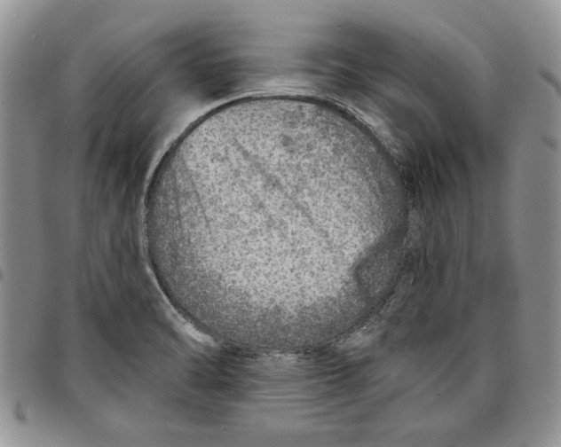 X0000096661470200803041151