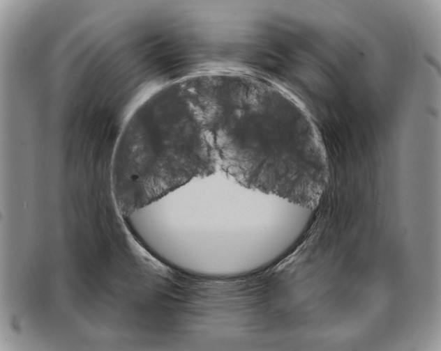 X0000096661471200803041151