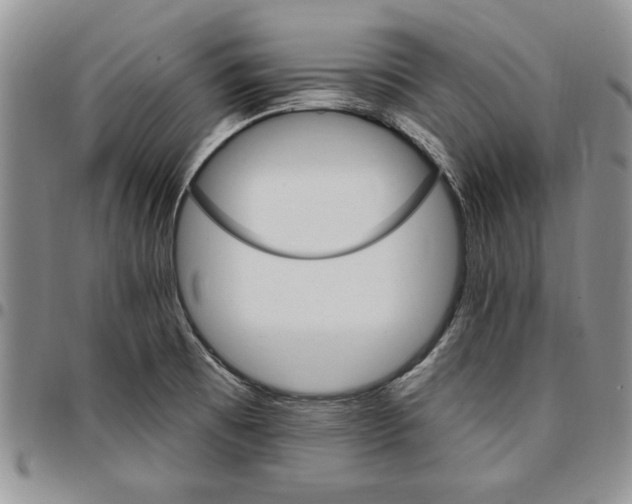 X0000096661473200803041151