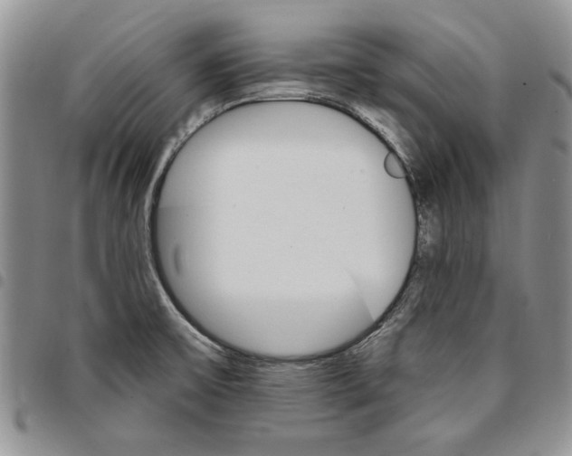 X0000096661475200803041151