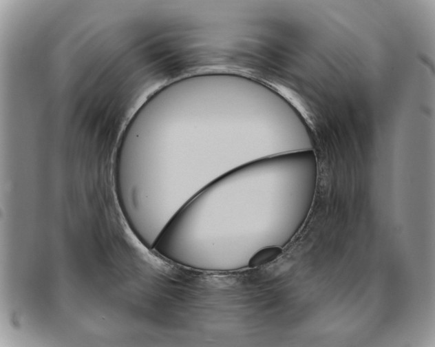 X0000096661476200803041151