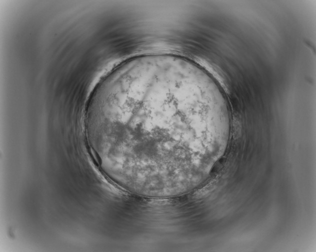 X0000096661477200803041151