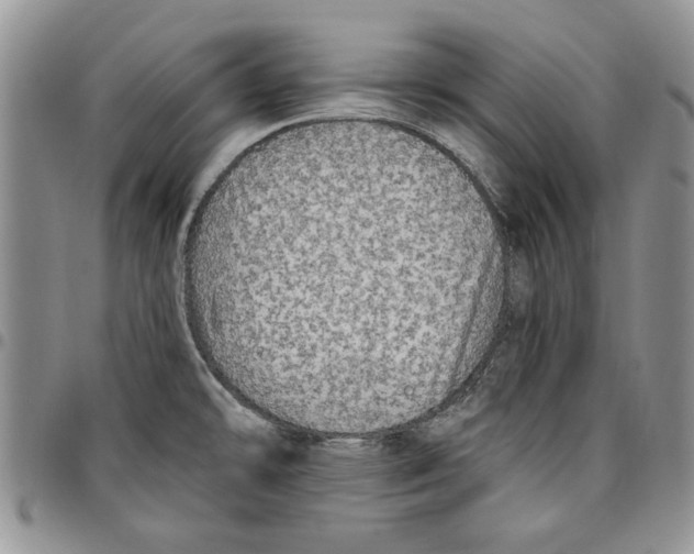 X0000096661478200803041151