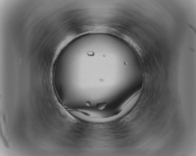 X0000096661480200803041151