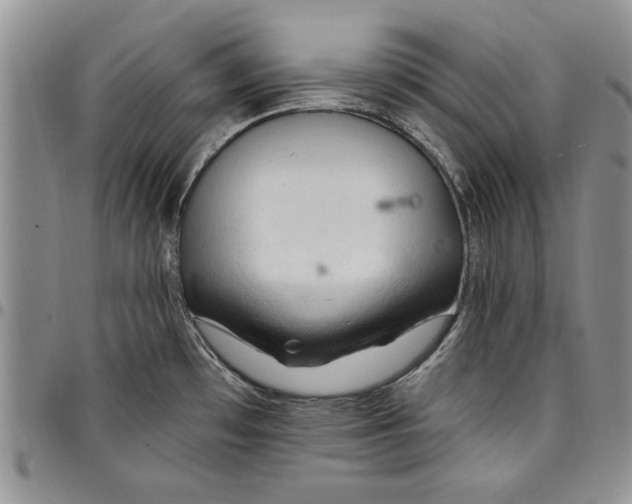 X0000096661481200803041151