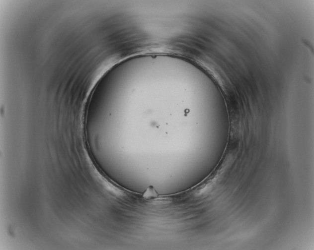 X0000096661483200803041150