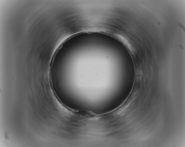 X0000096661484200803041150