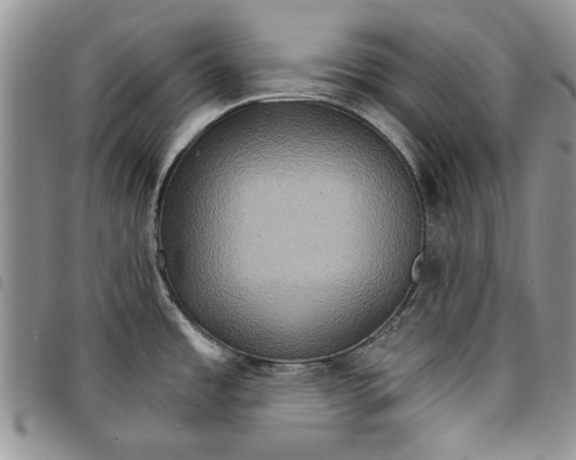 X0000096661485200803041150